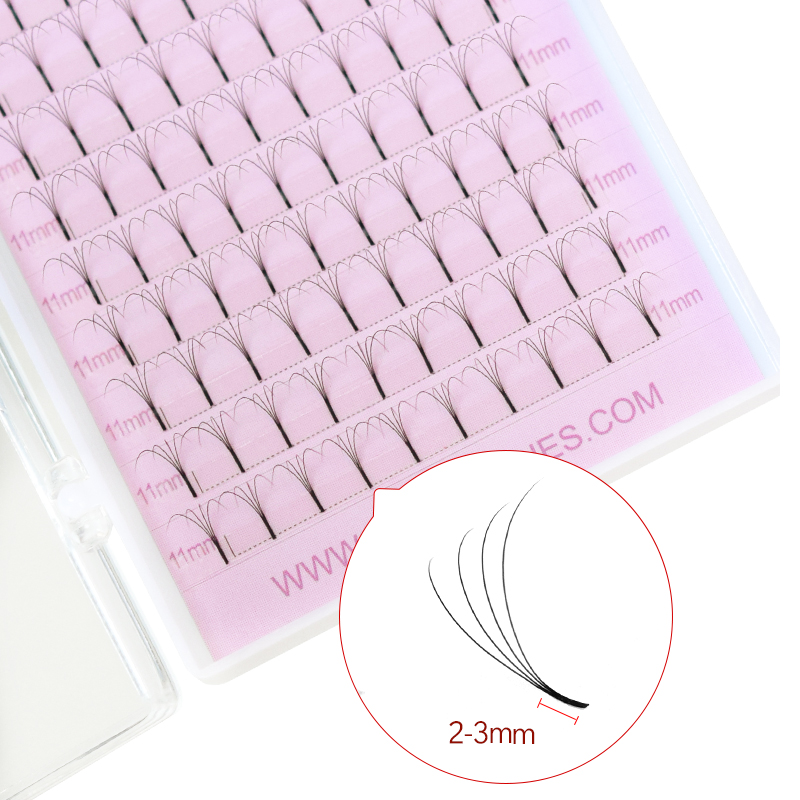SONGLASHES Długi korzeń 2D do  – Eyelash Extension Fan recenzja i cena